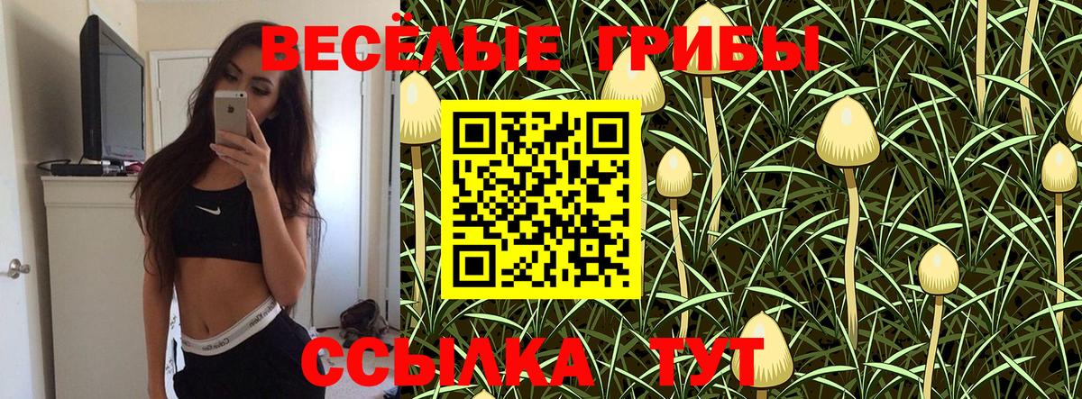 Псилоцибиновые грибы мухоморы  Вход с VPN  Галлюциногенные грибы мухоморы  купить наркоту  Джанкой 